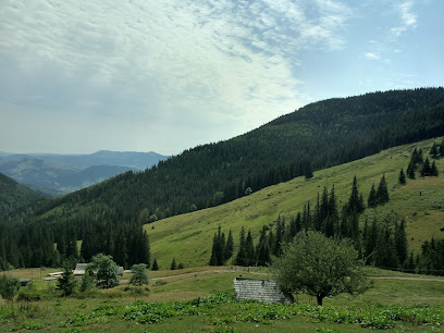 Високогірне<br />
село Віпче