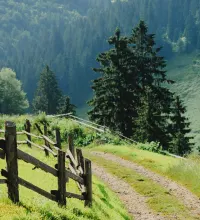 8 км до центру Верховини